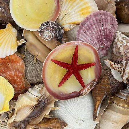 Appartamento Casa Repasi Sferracavallo Esterno foto