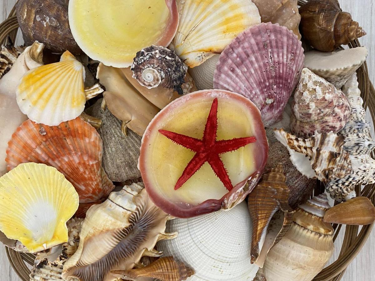 Appartamento Casa Repasi Sferracavallo Esterno foto